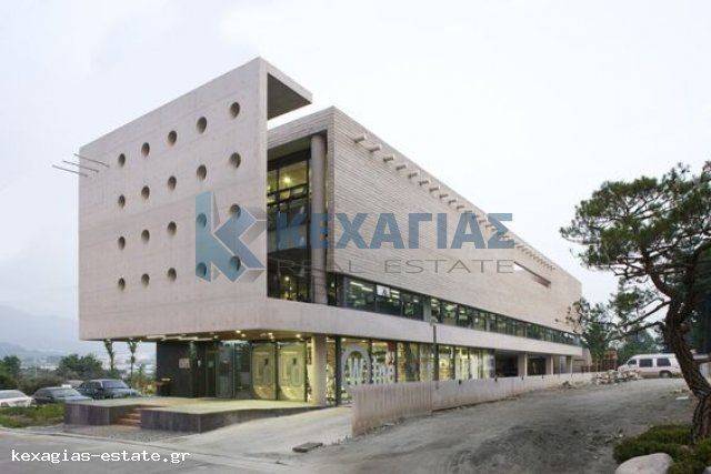 ΕΝΔΕΙΚΤΙΚΗ ΛΗΨΗ