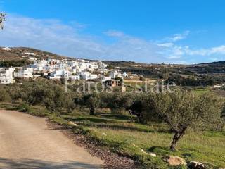 Αγροτεμάχιο