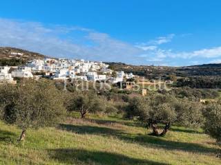 Αγροτεμάχιο