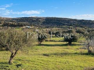 Αγροτεμάχιο