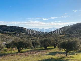 Αγροτεμάχιο