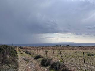 Epipede ektase etoime gia domese.