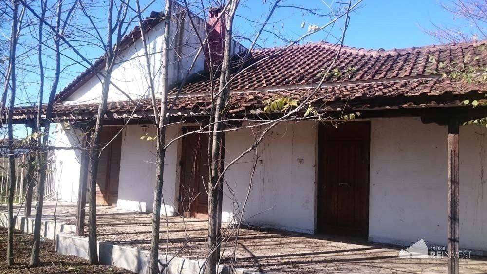 Εξωτερικοι χώροι