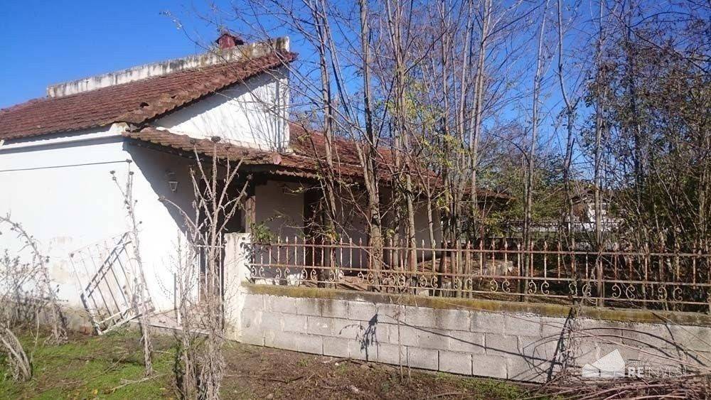 Εξωτερικοι χώροι