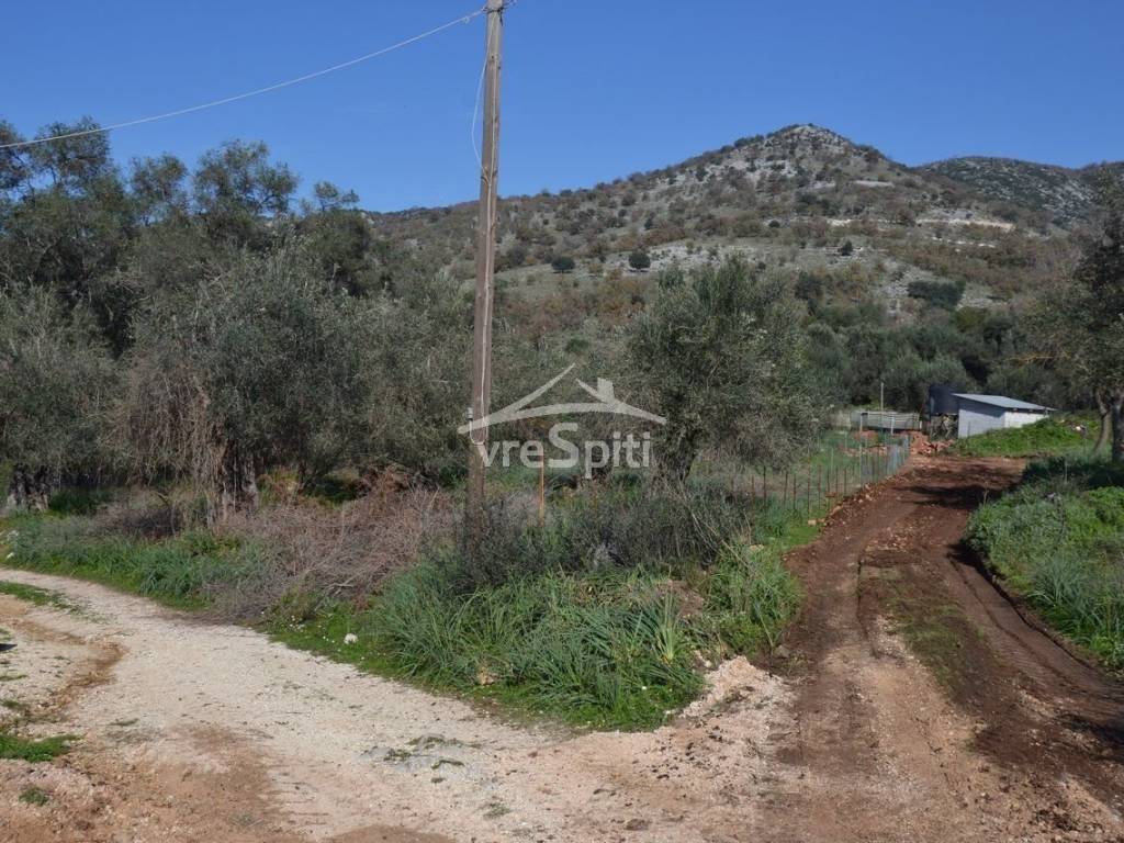 ΑΠΟΨΗ ΟΙΚΟΠΕΔΟΥ