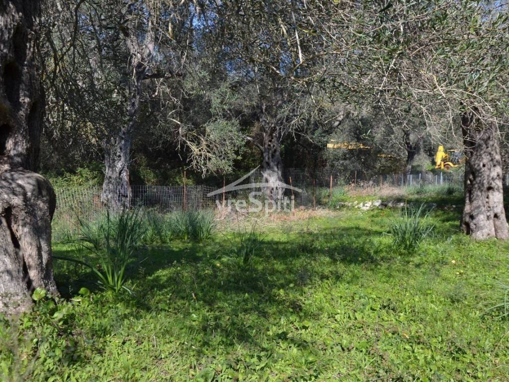 ΑΠΟΨΗ ΟΙΚΟΠΕΔΟΥ