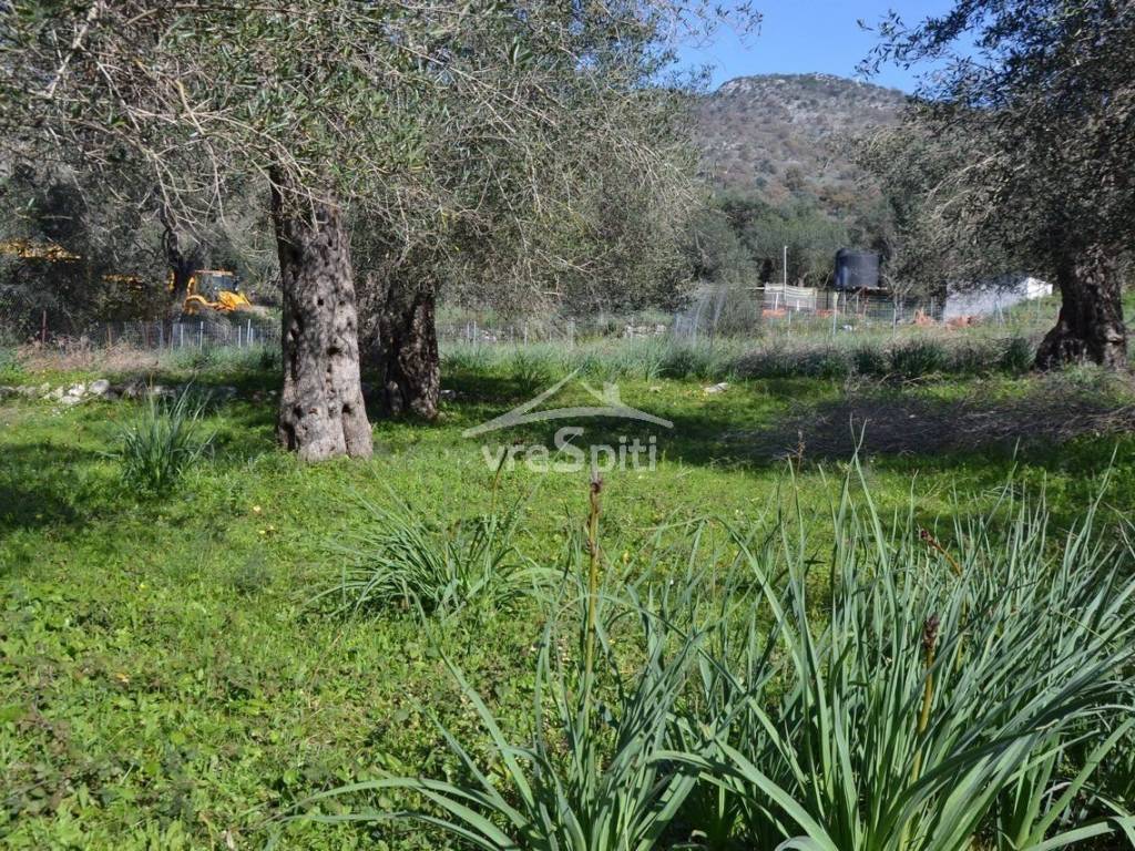 ΑΠΟΨΗ ΟΙΚΟΠΕΔΟΥ