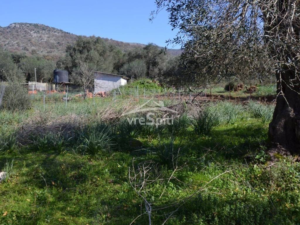 ΑΠΟΨΗ ΟΙΚΟΠΕΔΟΥ