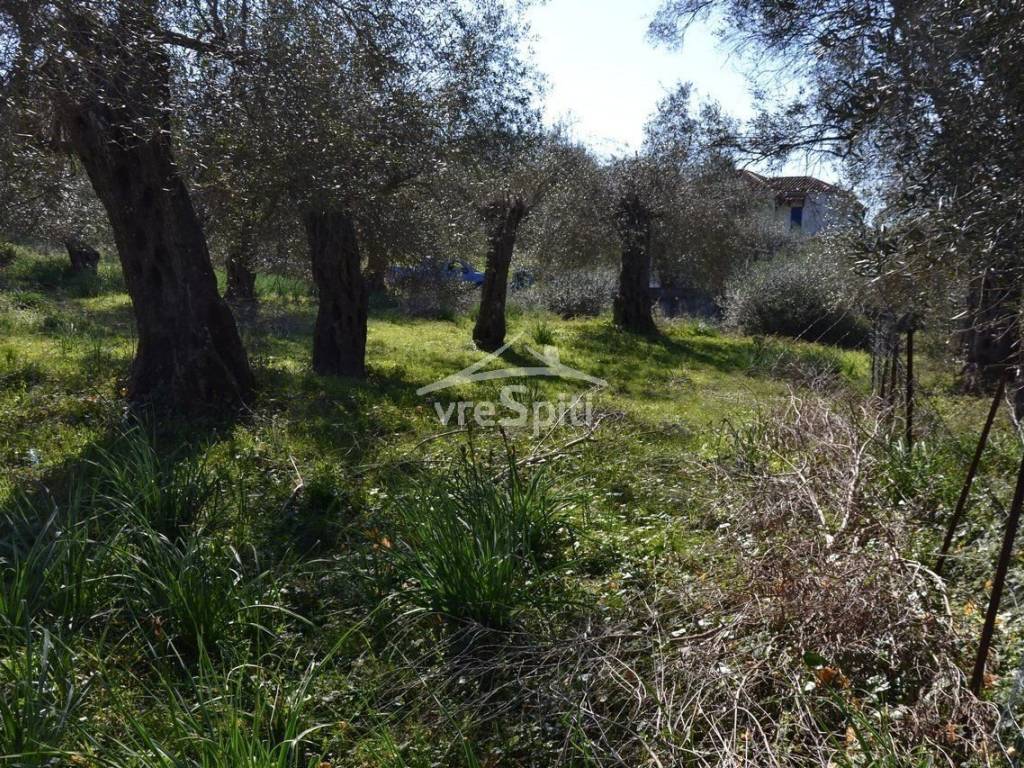 ΑΠΟΨΗ ΟΙΚΟΠΕΔΟΥ