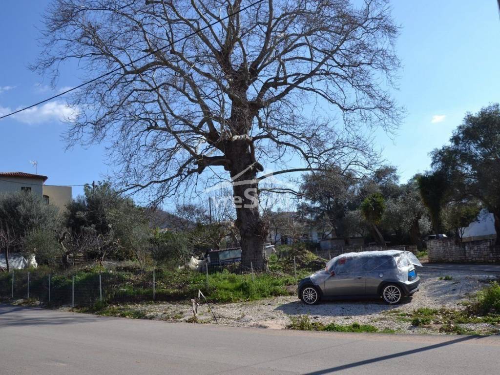 ΑΠΟΨΗ ΟΙΚΟΠΕΔΟΥ