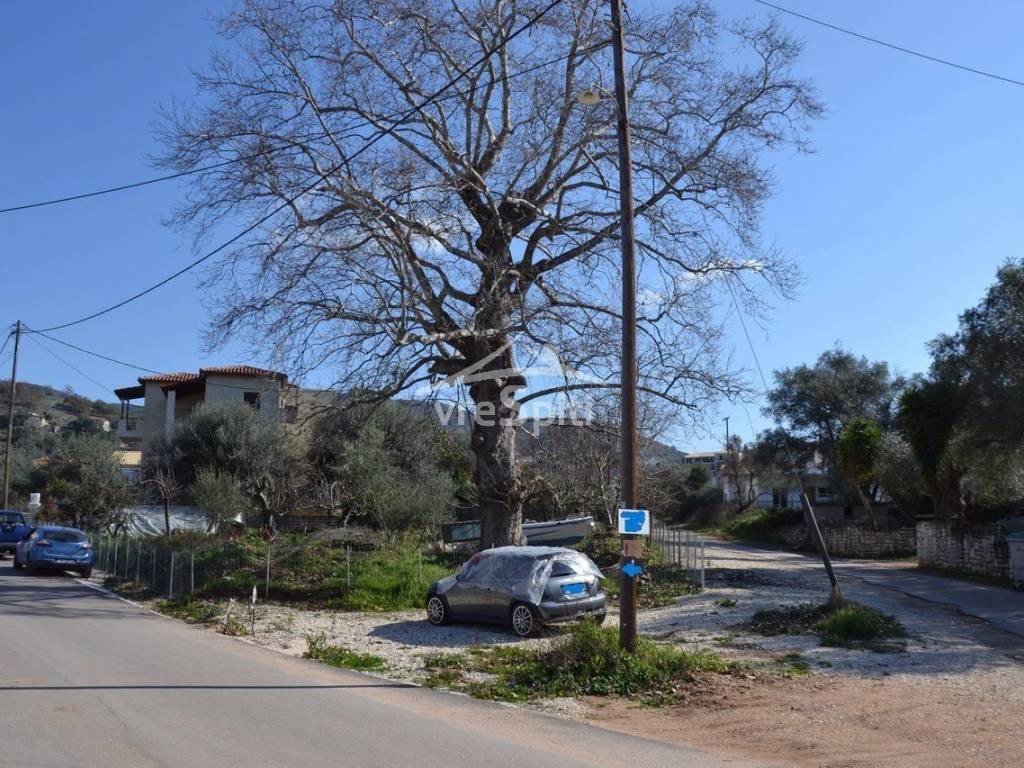 ΑΠΟΨΗ ΟΙΚΟΠΕΔΟΥ