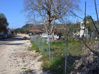 ΑΠΟΨΗ ΟΙΚΟΠΕΔΟΥ