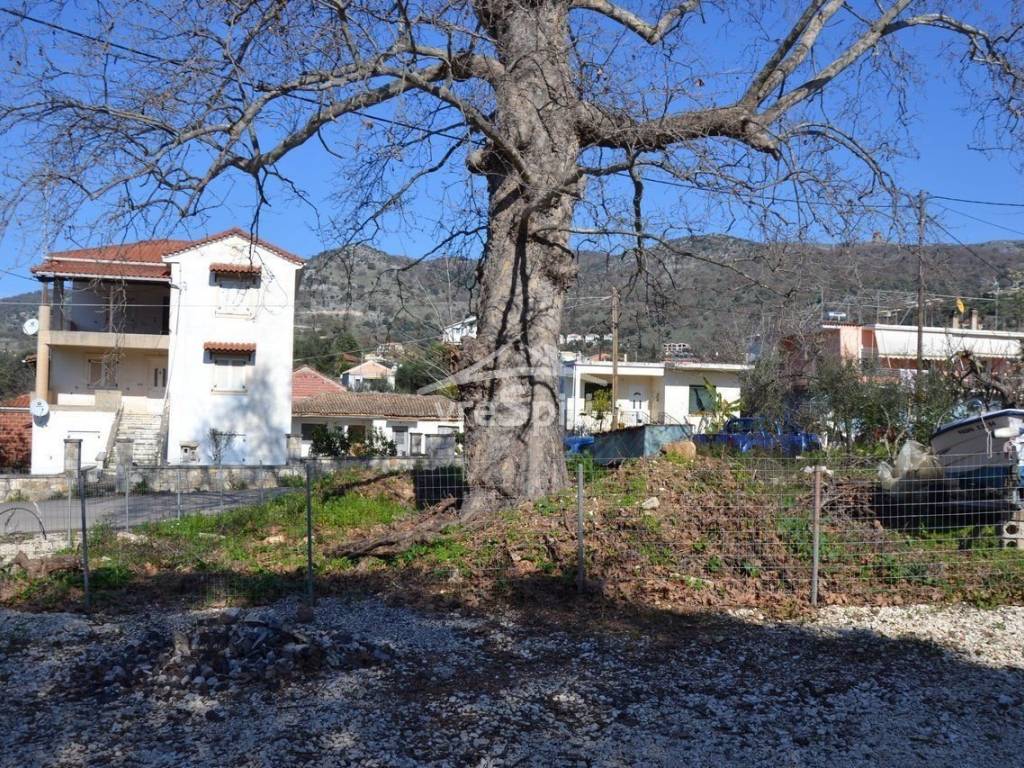 ΑΠΟΨΗ ΟΙΚΟΠΕΔΟΥ