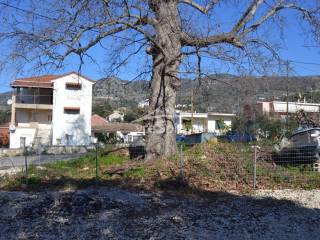 ΑΠΟΨΗ ΟΙΚΟΠΕΔΟΥ