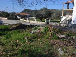 ΑΠΟΨΗ ΟΙΚΟΠΕΔΟΥ