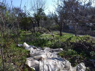 ΑΠΟΨΗ ΟΙΚΟΠΕΔΟΥ