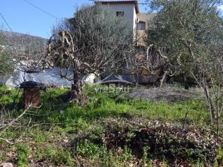 ΑΠΟΨΗ ΟΙΚΟΠΕΔΟΥ