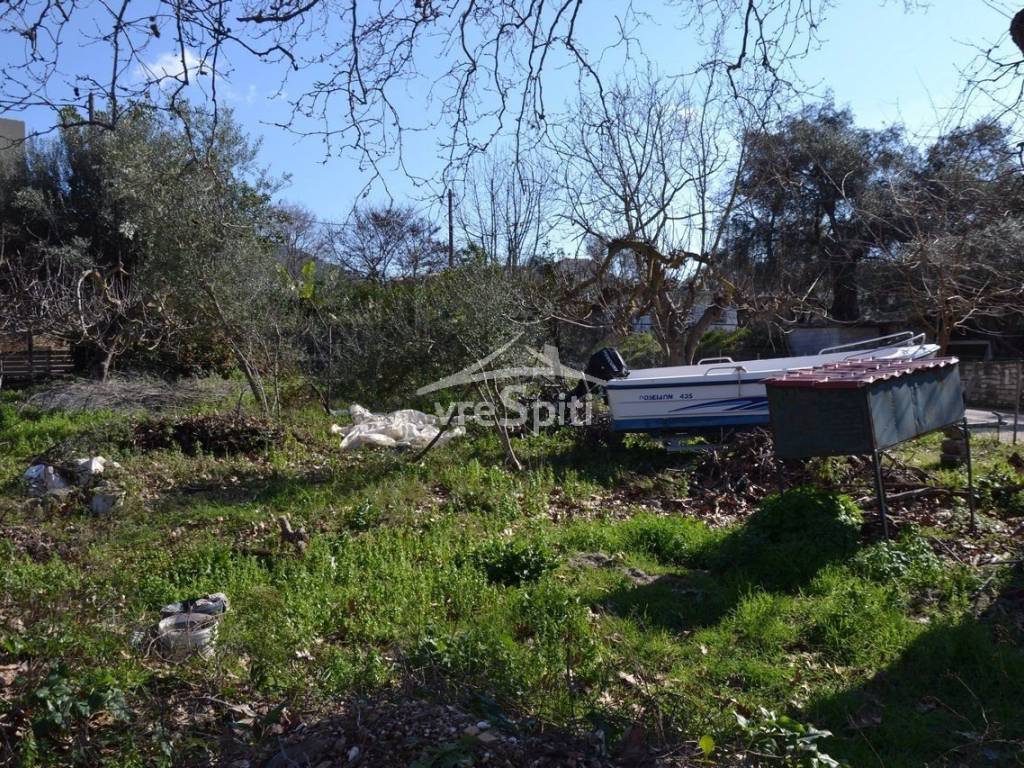 ΑΠΟΨΗ ΟΙΚΟΠΕΔΟΥ