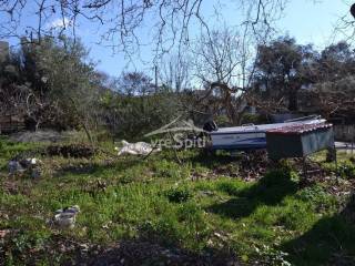 ΑΠΟΨΗ ΟΙΚΟΠΕΔΟΥ