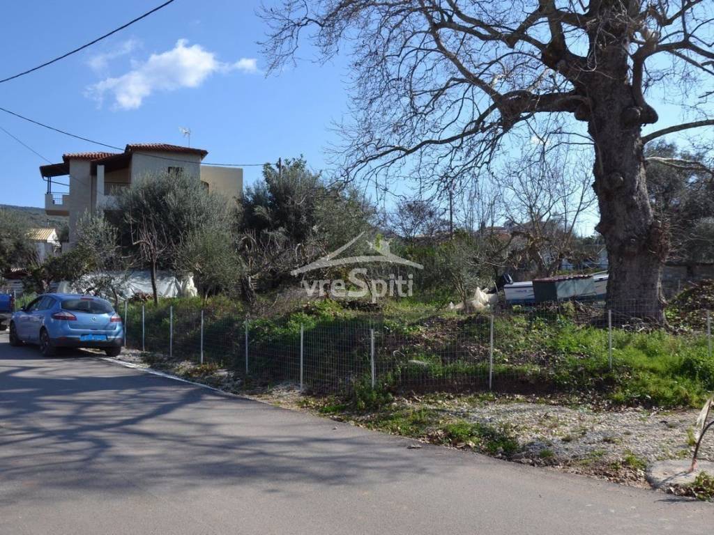 ΑΠΟΨΗ ΟΙΚΟΠΕΔΟΥ