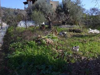 ΑΠΟΨΗ ΟΙΚΟΠΕΔΟΥ