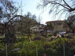 ΑΠΟΨΗ ΟΙΚΟΠΕΔΟΥ