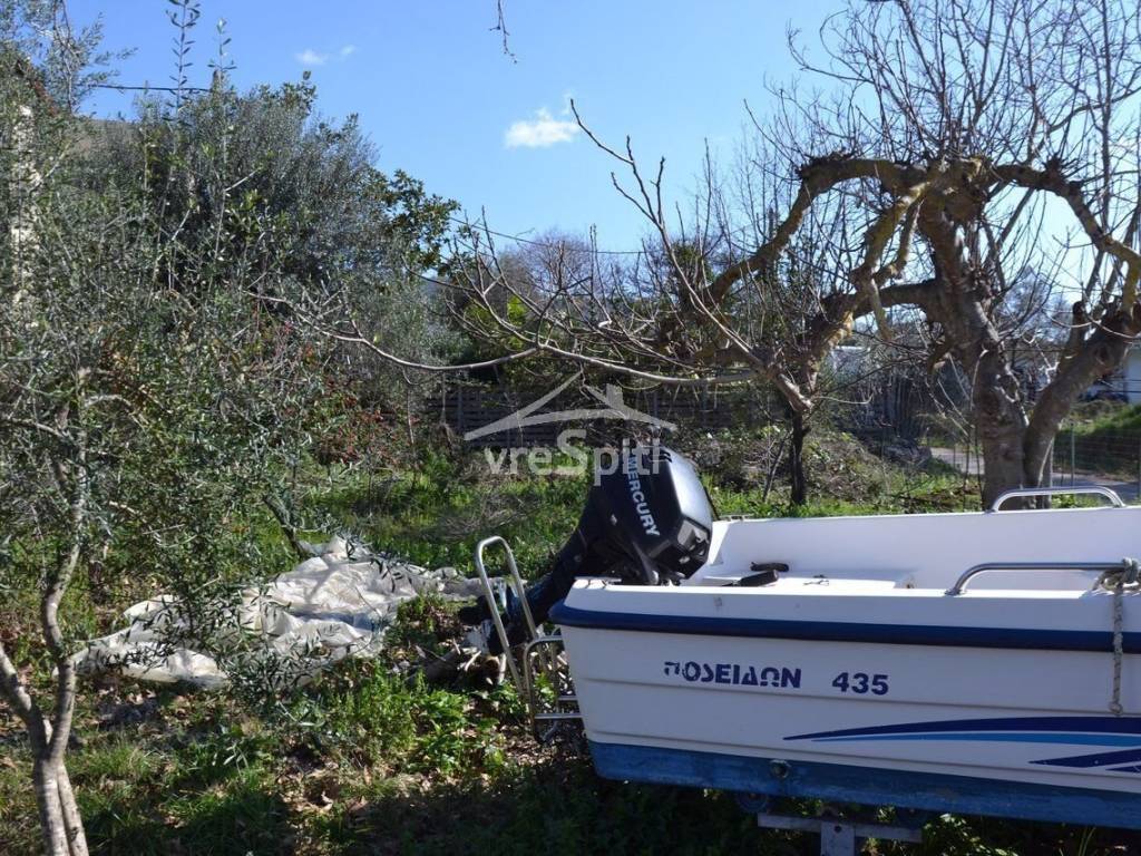 ΑΠΟΨΗ ΟΙΚΟΠΕΔΟΥ