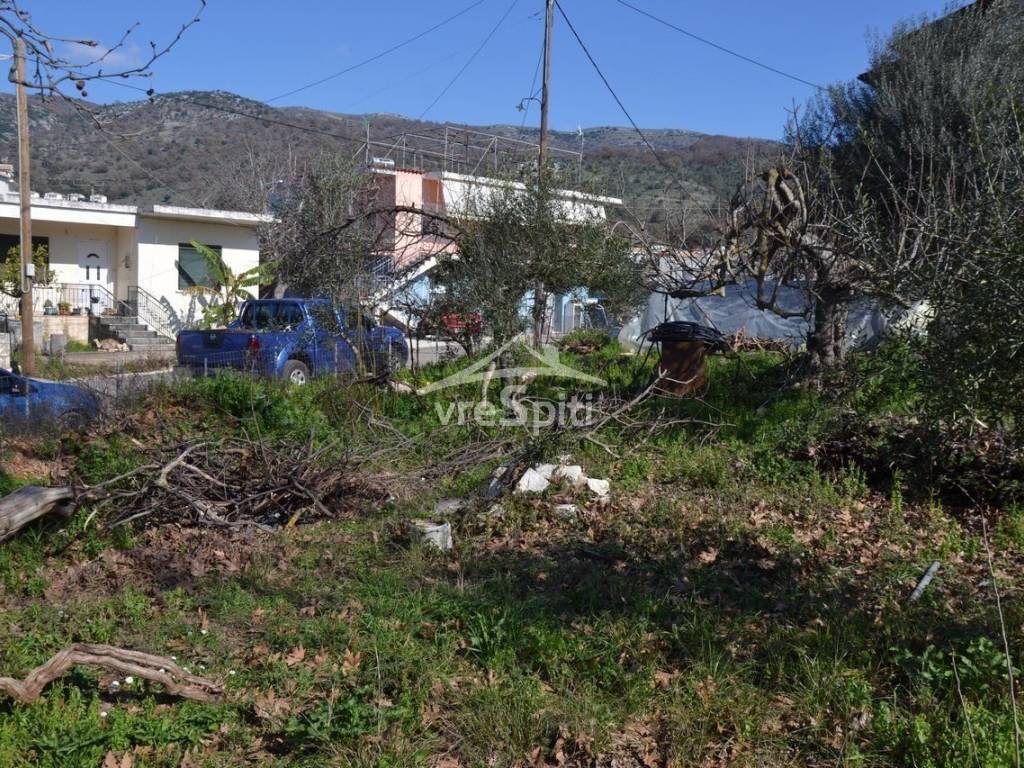 ΑΠΟΨΗ ΟΙΚΟΠΕΔΟΥ