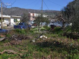 ΑΠΟΨΗ ΟΙΚΟΠΕΔΟΥ