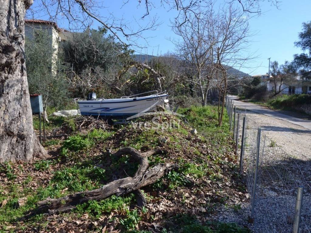 ΑΠΟΨΗ ΟΙΚΟΠΕΔΟΥ