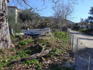 ΑΠΟΨΗ ΟΙΚΟΠΕΔΟΥ