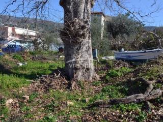 ΑΠΟΨΗ ΟΙΚΟΠΕΔΟΥ