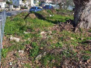 ΑΠΟΨΗ ΟΙΚΟΠΕΔΟΥ