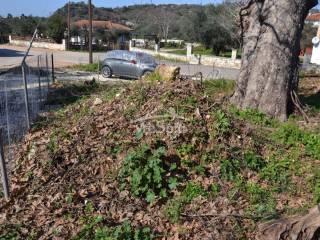 ΑΠΟΨΗ ΟΙΚΟΠΕΔΟΥ