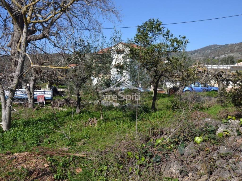 ΑΠΟΨΗ ΟΙΚΟΠΕΔΟΥ