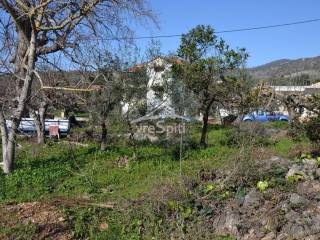 ΑΠΟΨΗ ΟΙΚΟΠΕΔΟΥ