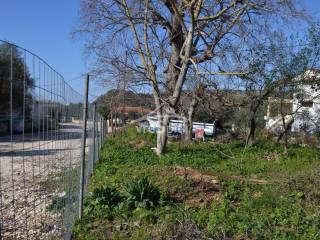 ΑΠΟΨΗ ΟΙΚΟΠΕΔΟΥ