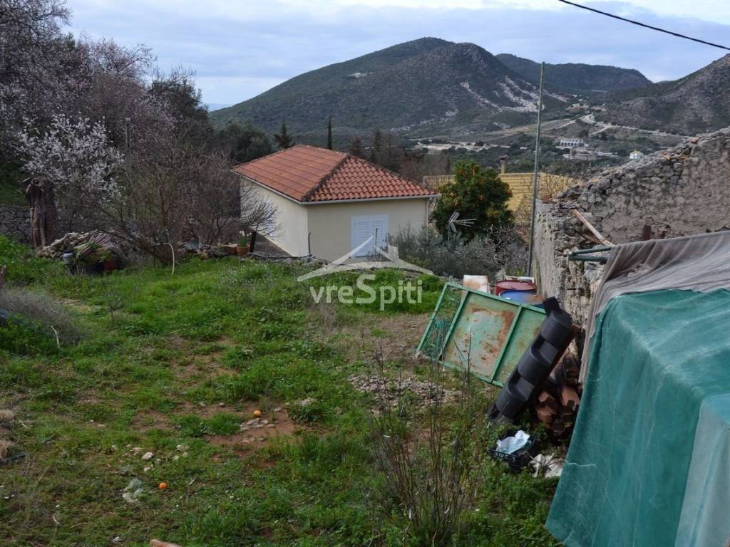 ΑΠΟΨΗ ΟΙΚΟΠΕΔΟΥ