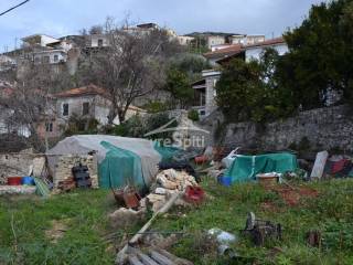 ΑΠΟΨΗ ΟΙΚΟΠΕΔΟΥ