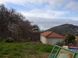 ΑΠΟΨΗ ΟΙΚΟΠΕΔΟΥ