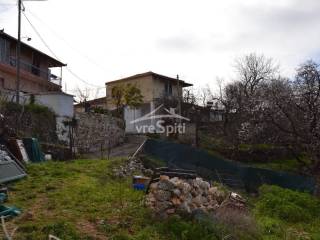 ΑΠΟΨΗ ΟΙΚΟΠΕΔΟΥ