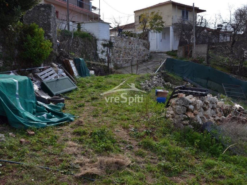 ΑΠΟΨΗ ΟΙΚΟΠΕΔΟΥ