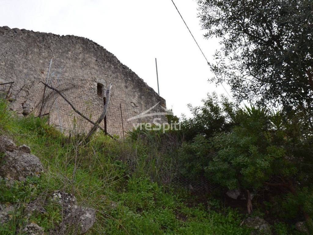 ΑΠΟΨΗ ΟΙΚΟΠΕΔΟΥ