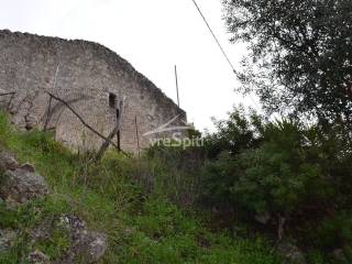 ΑΠΟΨΗ ΟΙΚΟΠΕΔΟΥ