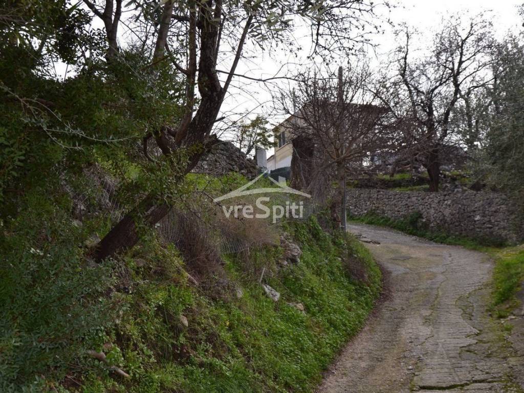 ΑΠΟΨΗ ΟΙΚΟΠΕΔΟΥ