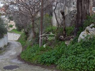 ΑΠΟΨΗ ΟΙΚΟΠΕΔΟΥ