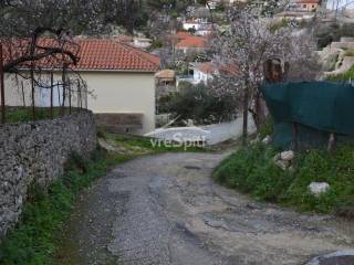 ΑΠΟΨΗ ΟΙΚΟΠΕΔΟΥ