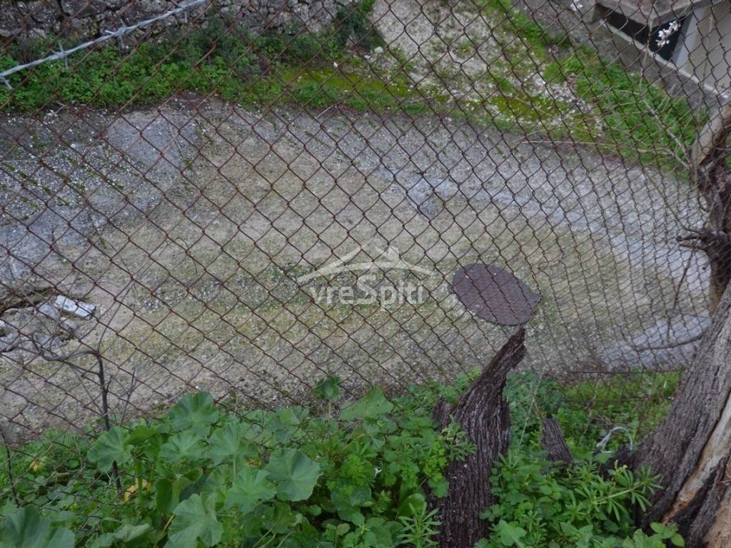 ΑΠΟΨΗ ΟΙΚΟΠΕΔΟΥ