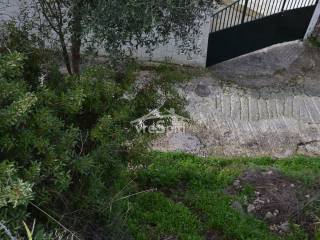 ΑΠΟΨΗ ΟΙΚΟΠΕΔΟΥ