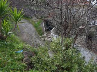 ΑΠΟΨΗ ΟΙΚΟΠΕΔΟΥ